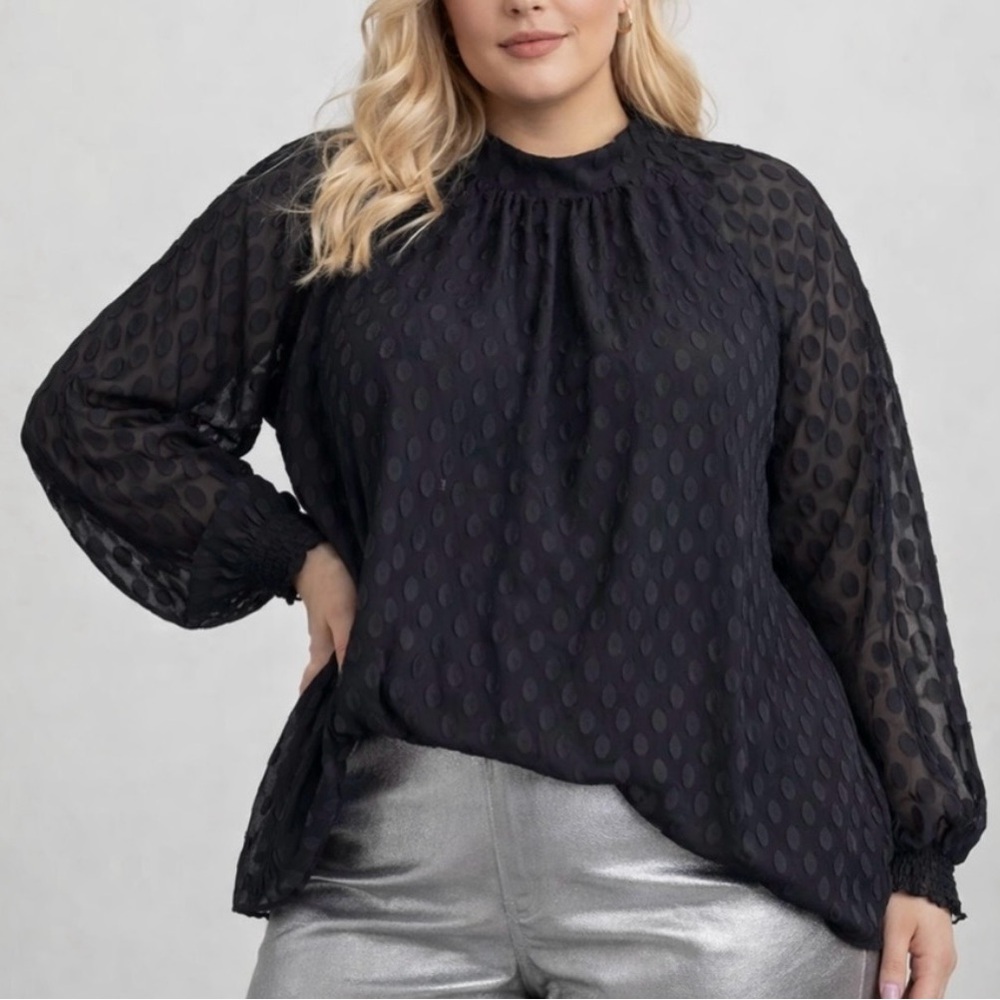 DR2 Black Swiss Dot Sheer Blouse Feminine Flowy Witchy Romantic Long Sleeve Top